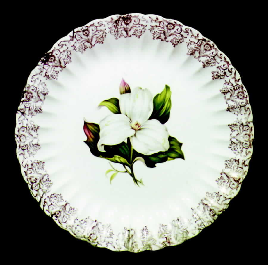 Trillium (Glamour, Fluted) Dinner Plate by Limoges-American-1