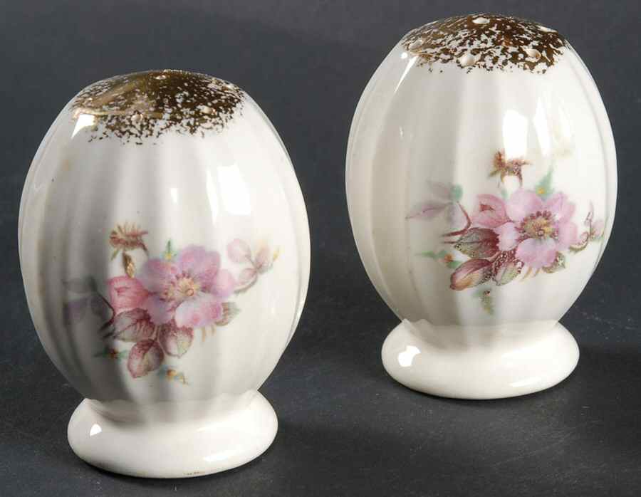Wild Rose (Gold Trim) Salt & Pepper Set by Limoges-American-1