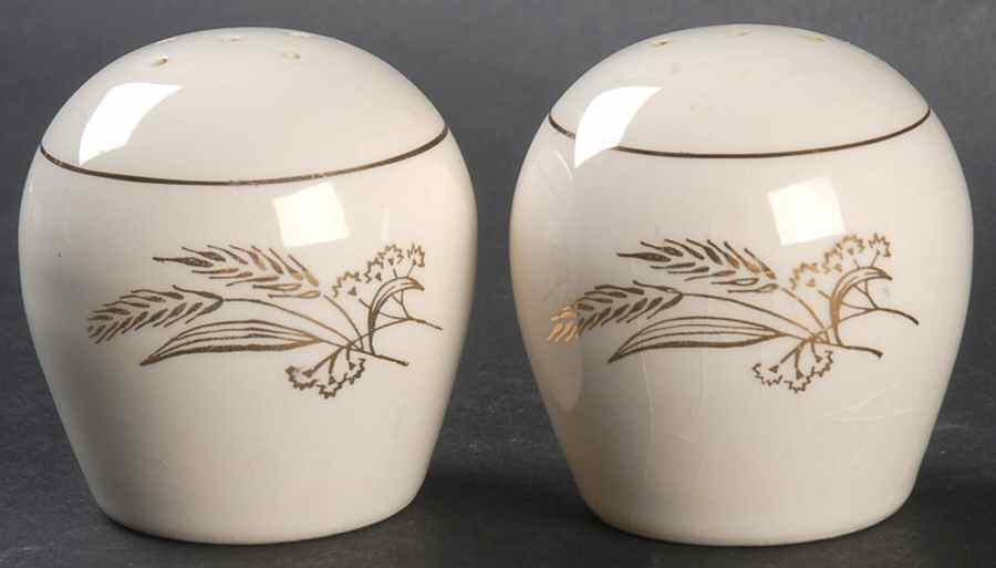 Prairie Gold Salt & Pepper Set by Lifetime-1