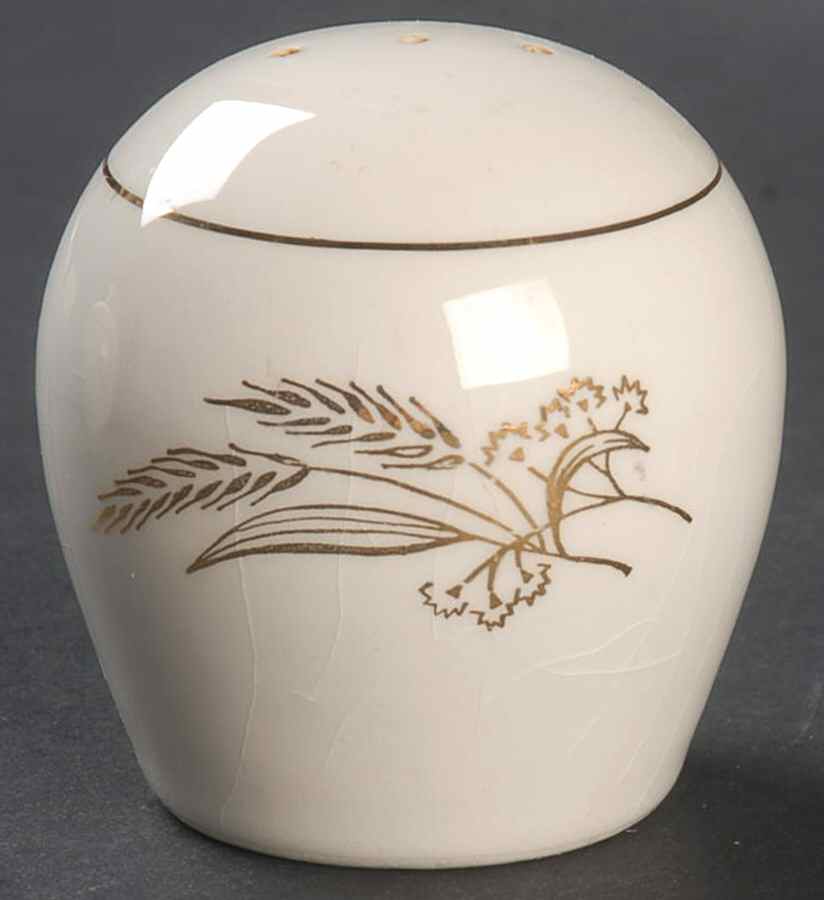 Prairie Gold Salt Shaker by Lifetime-1