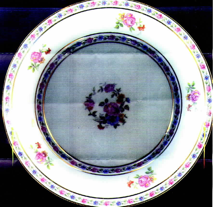 LIM1 Salad Plate by Limoges-French-1