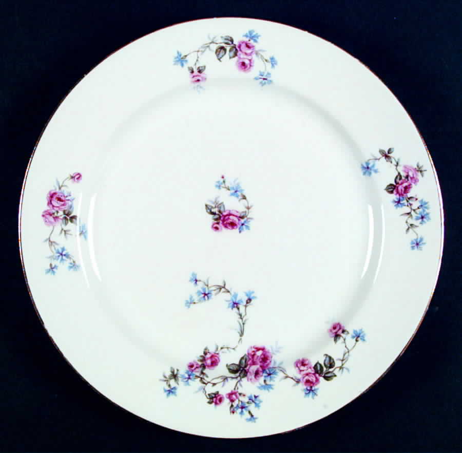 LIM10 Dinner Plate by Limoges-French-1