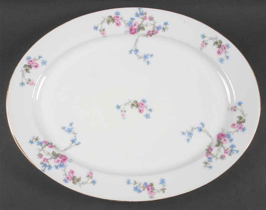 LIM10 15" Oval Serving Platter by Limoges-French-1