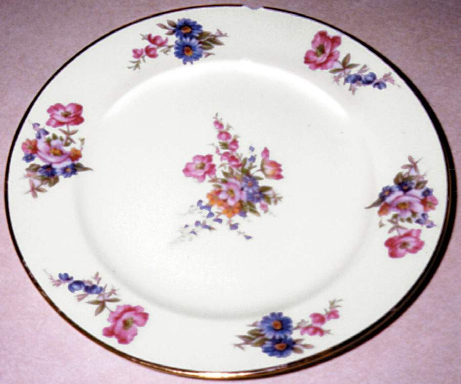 LIM13 Dinner Plate by Limoges-French-1