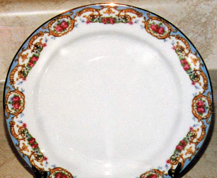 LIM19 Dinner Plate by Limoges-French-1