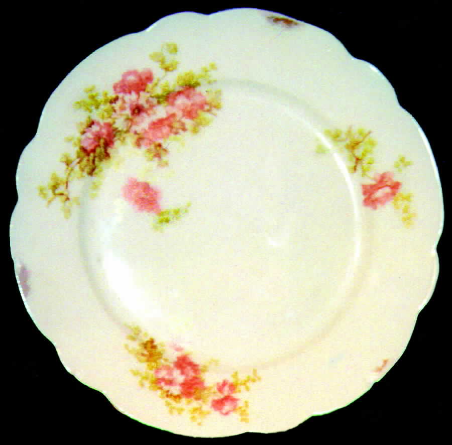 LIM25 Dinner Plate by Limoges-French-1