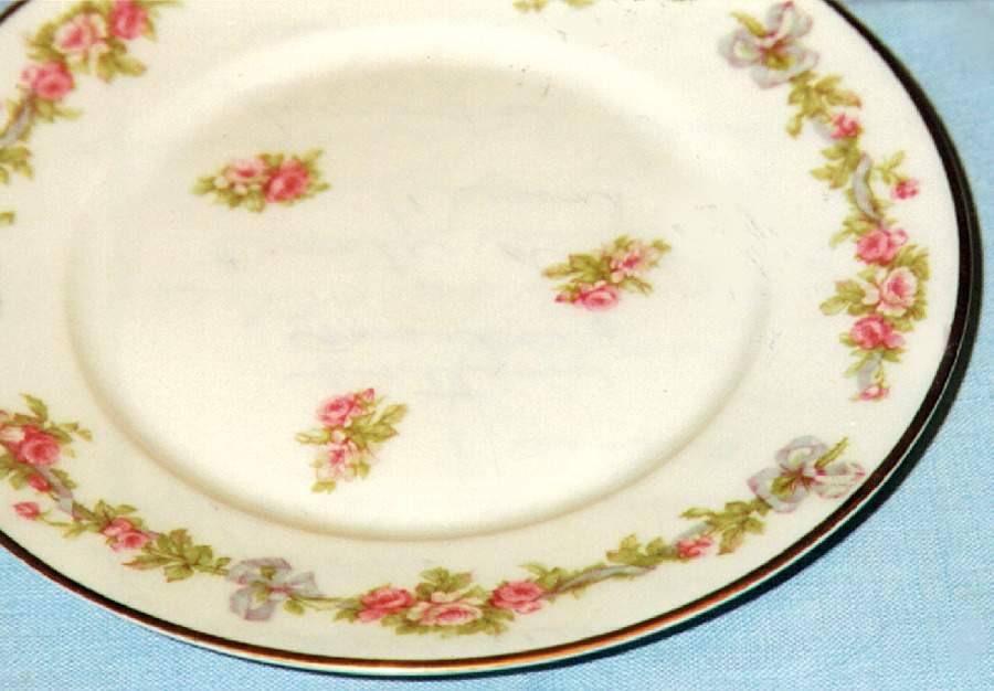 LIM27 Dinner Plate by Limoges-French-1