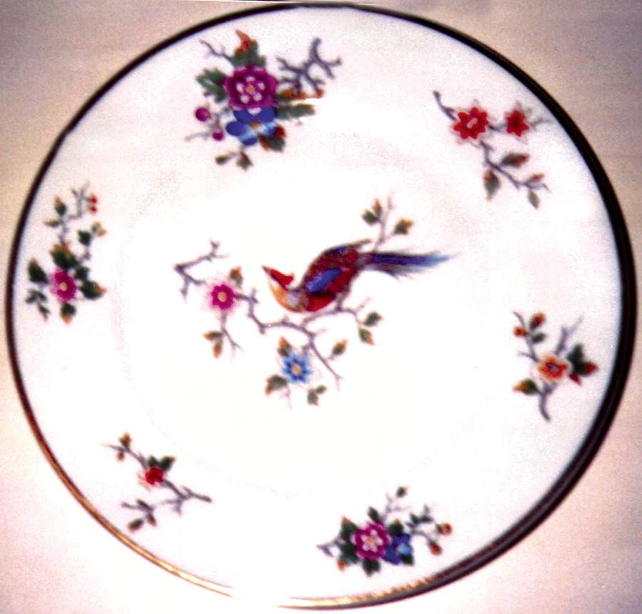 LIM6 Dinner Plate by Limoges-French-1