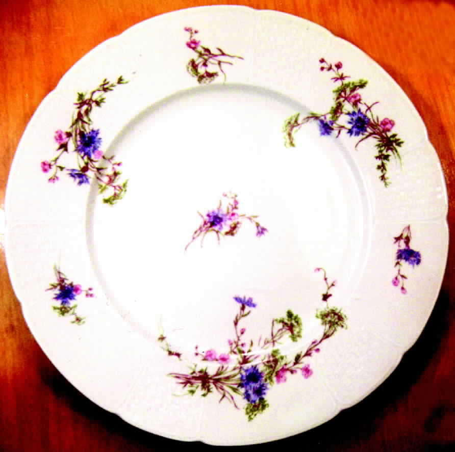 LIM9 Dinner Plate by Limoges-French-1