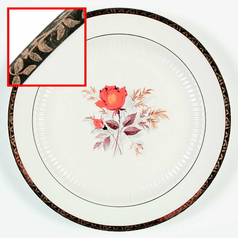 LMD1 Dinner Plate by Lamode (USA)-1