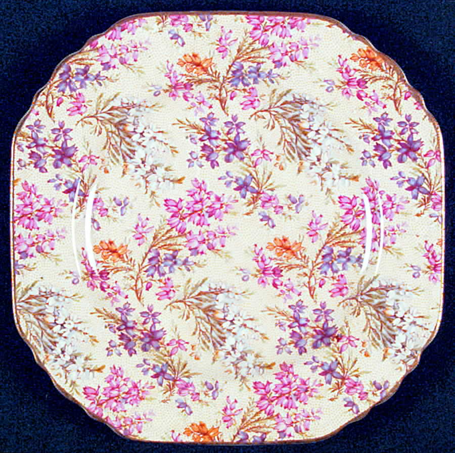 Heather Square Salad Plate by Lord Nelson-1