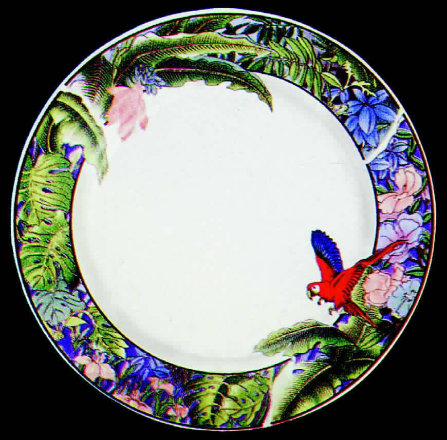 Amazon Dinner Plate by Lynn's China-1