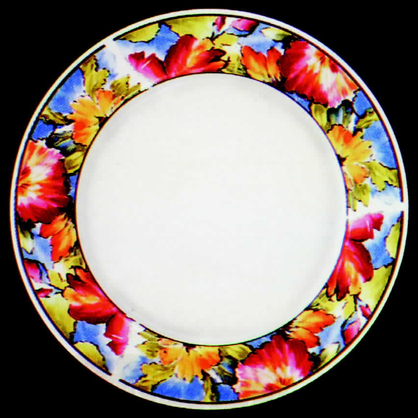 Aurora Dinner Plate by Lynn's China-1
