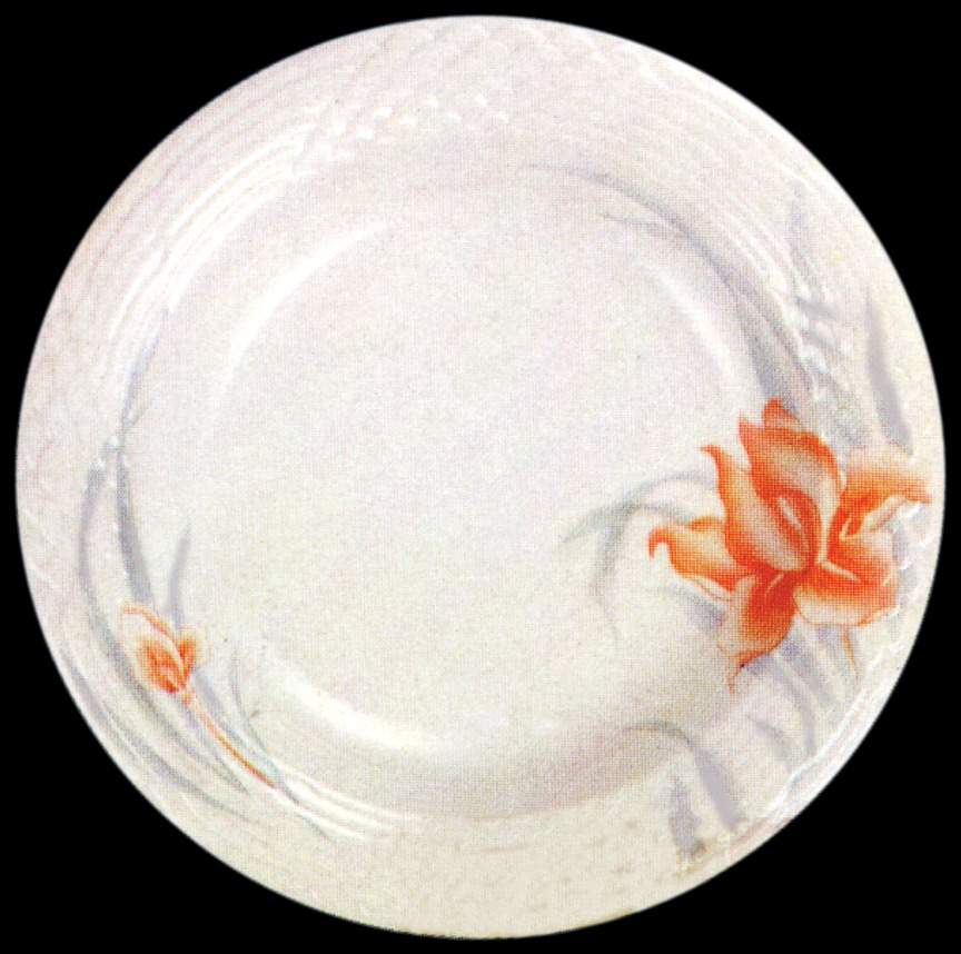 Coral Dinner Plate by Lynn's China-1