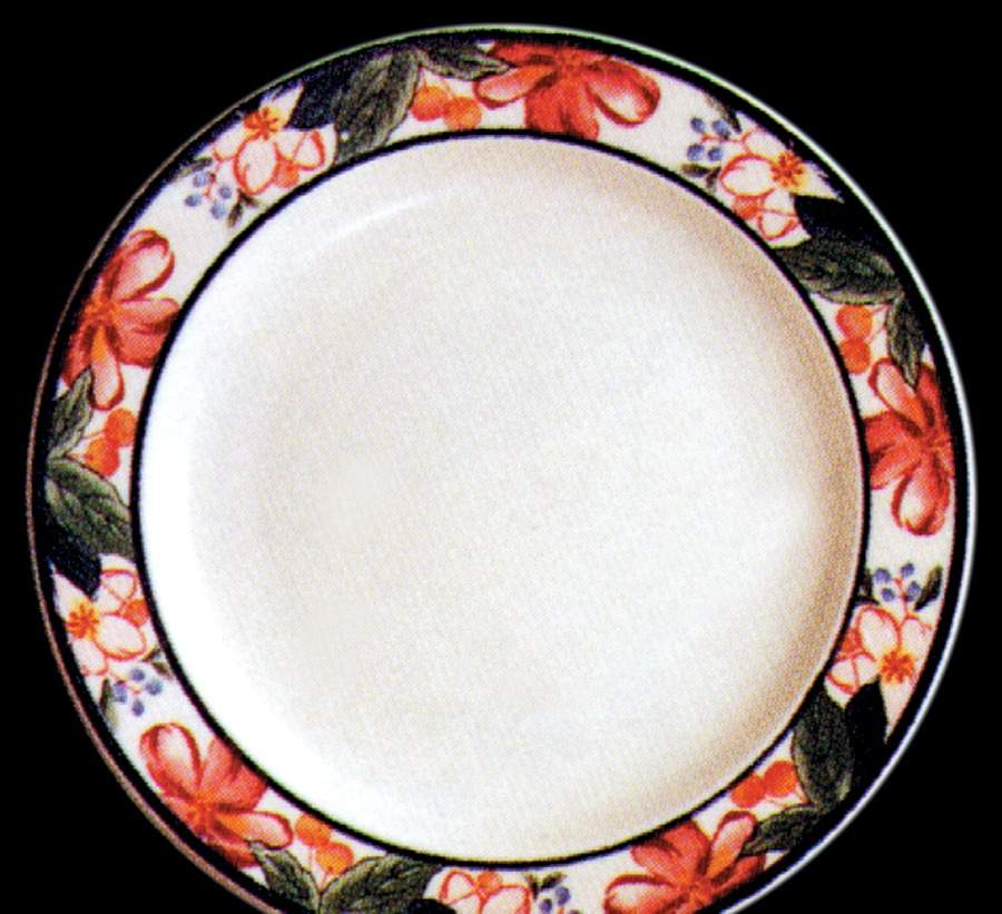 Harmony Salad Plate by Lynn's China-1
