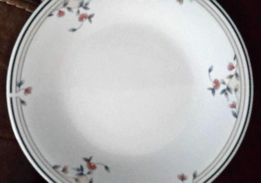 Ivy Dinner Plate by Lynn's China-1