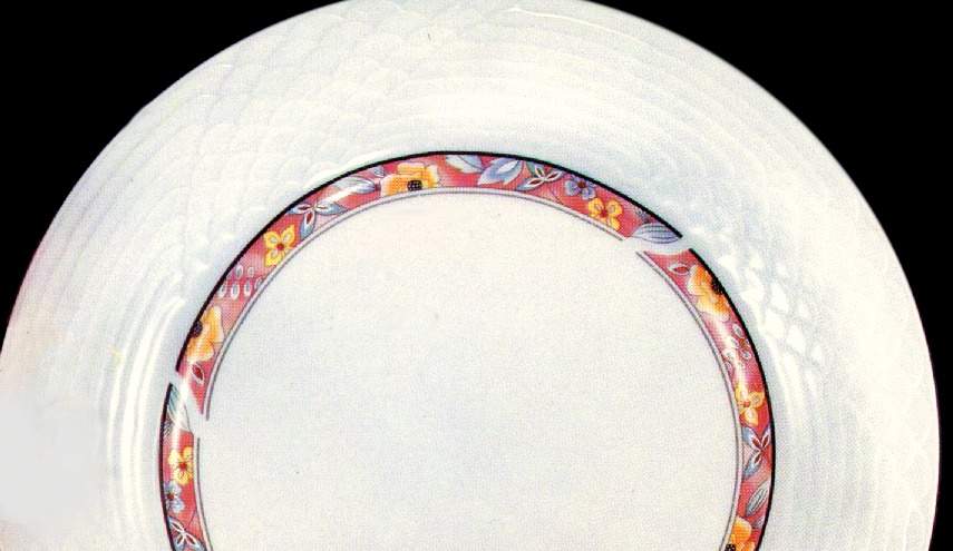 Jasper Dinner Plate by Lynn's China-1
