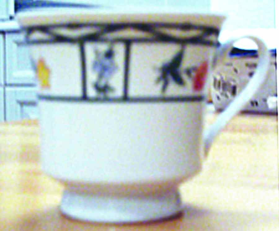 Mayflower Footed Cup by Lynn's China-1