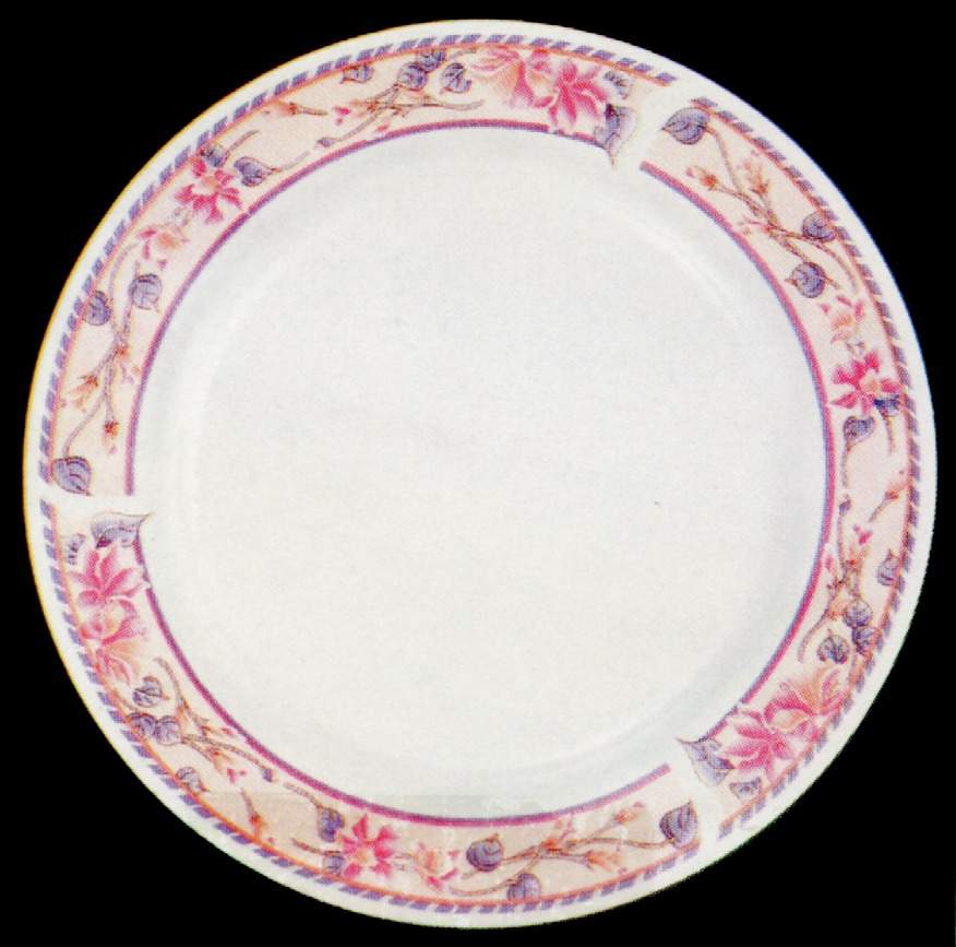 Rainbow Dinner Plate by Lynn's China-1
