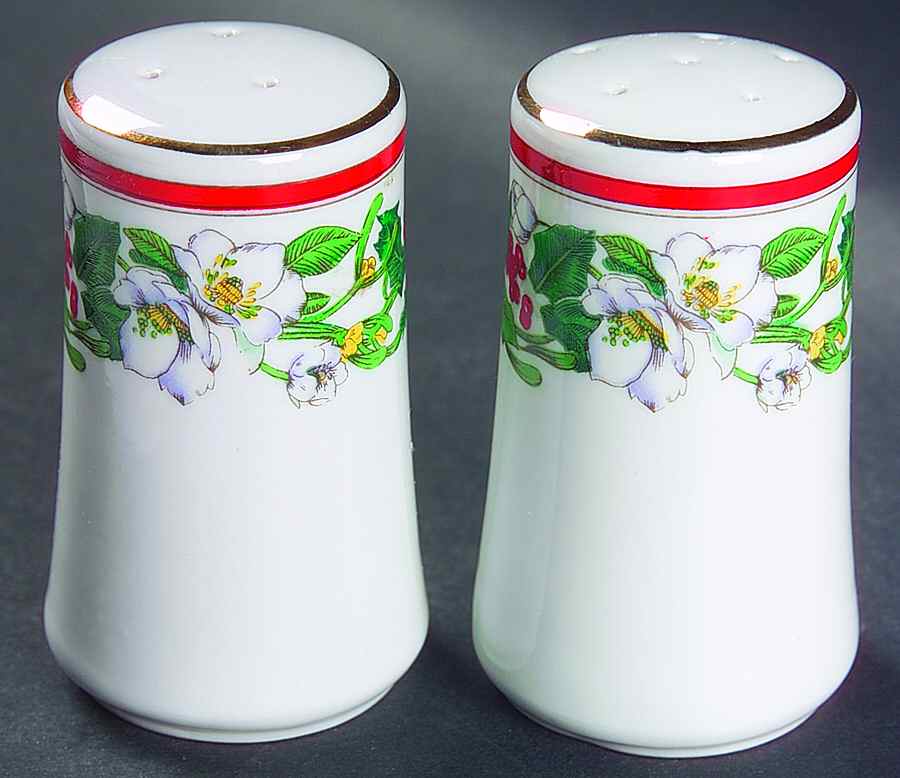 St Maria Salt & Pepper Set by Lynn's China-1
