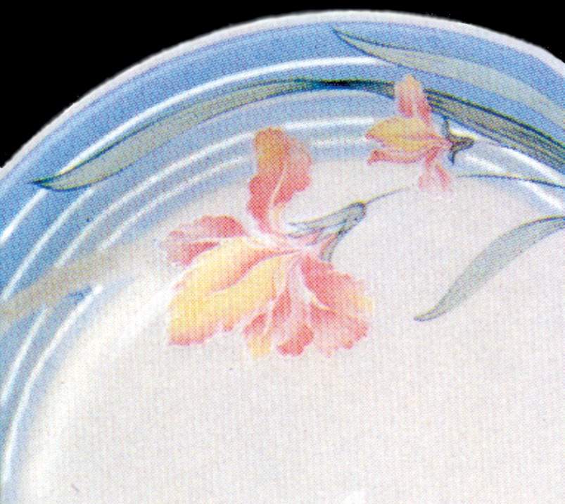 Swizzle Dinner Plate by Lynn's China-1
