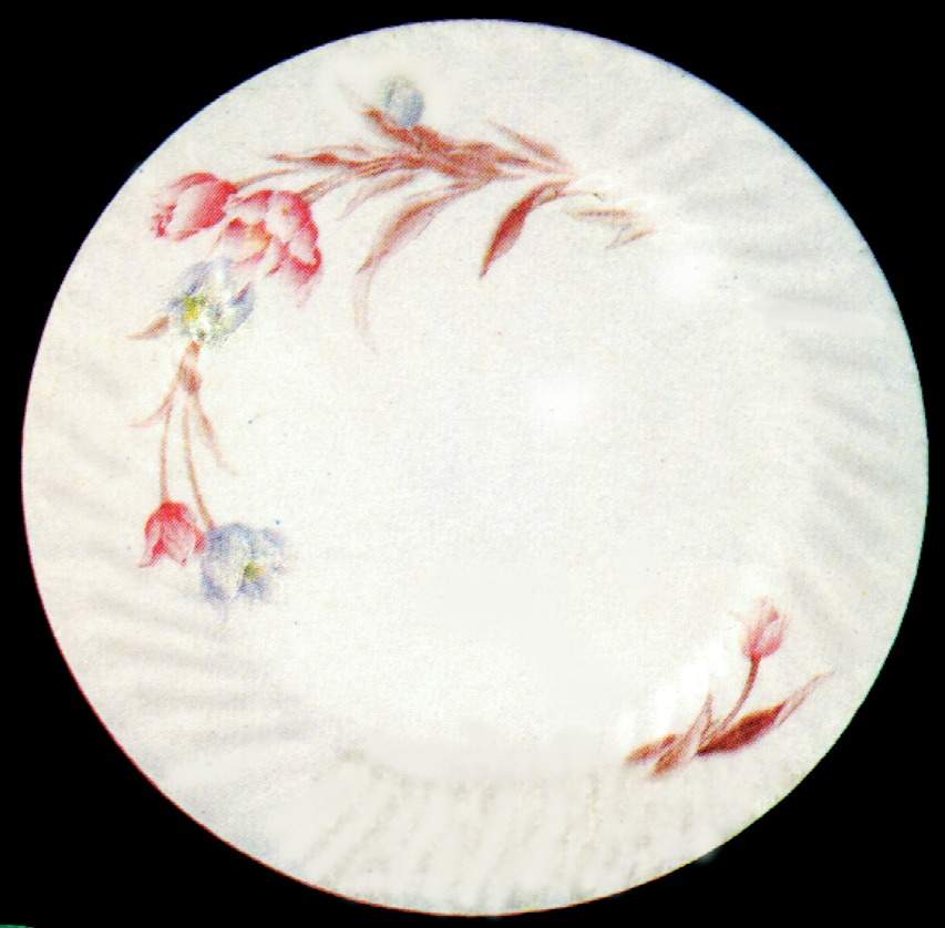 Tiara Dinner Plate by Lynn's China-1