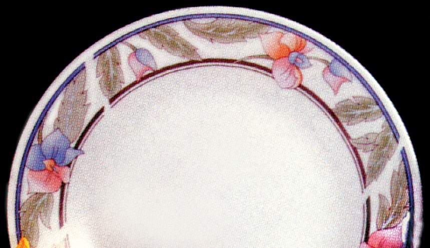 Yalco Dinner Plate by Lynn's China-1