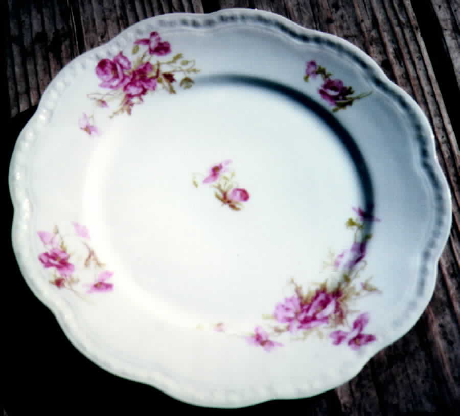 LNT8 Dinner Plate by Lanternier-1