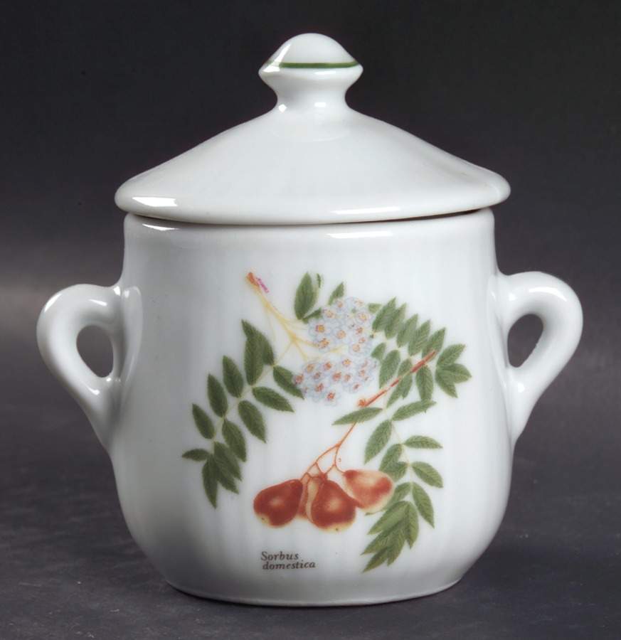 Fruit 2 Pc Pot de Creme w/Lid & Base by Louis Lourioux-1