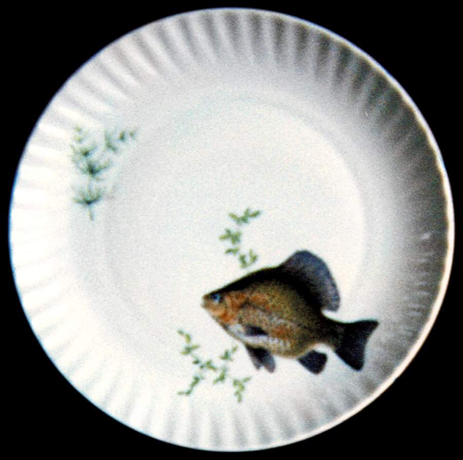 LOL7 Dinner Plate by Louis Lourioux-1