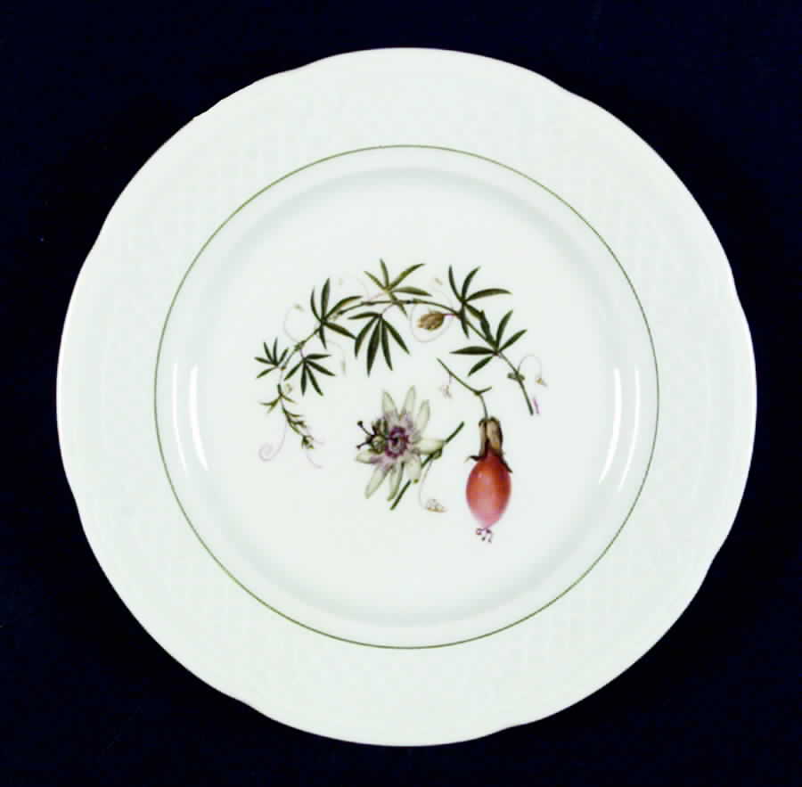 Vesca Salad Plate by Louis Lourioux-1