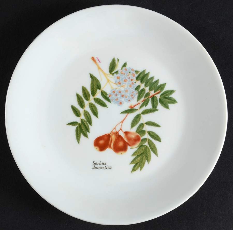 Vesca Canape Plate by Louis Lourioux-1