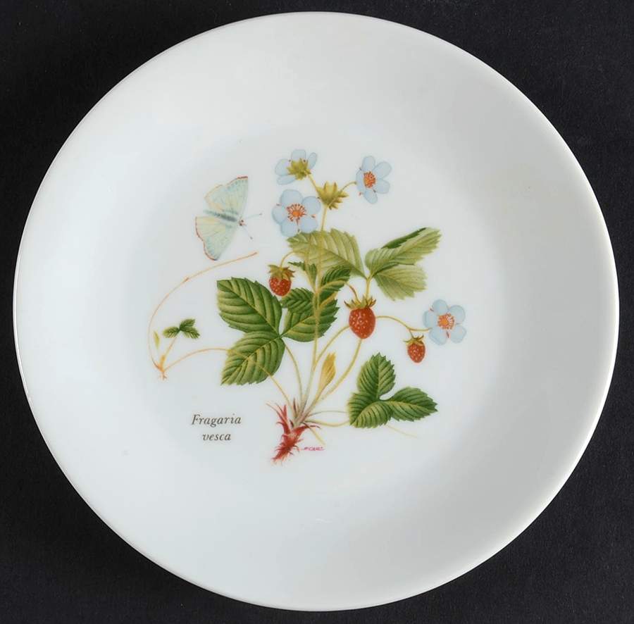 Vesca Canape Plate by Louis Lourioux-1