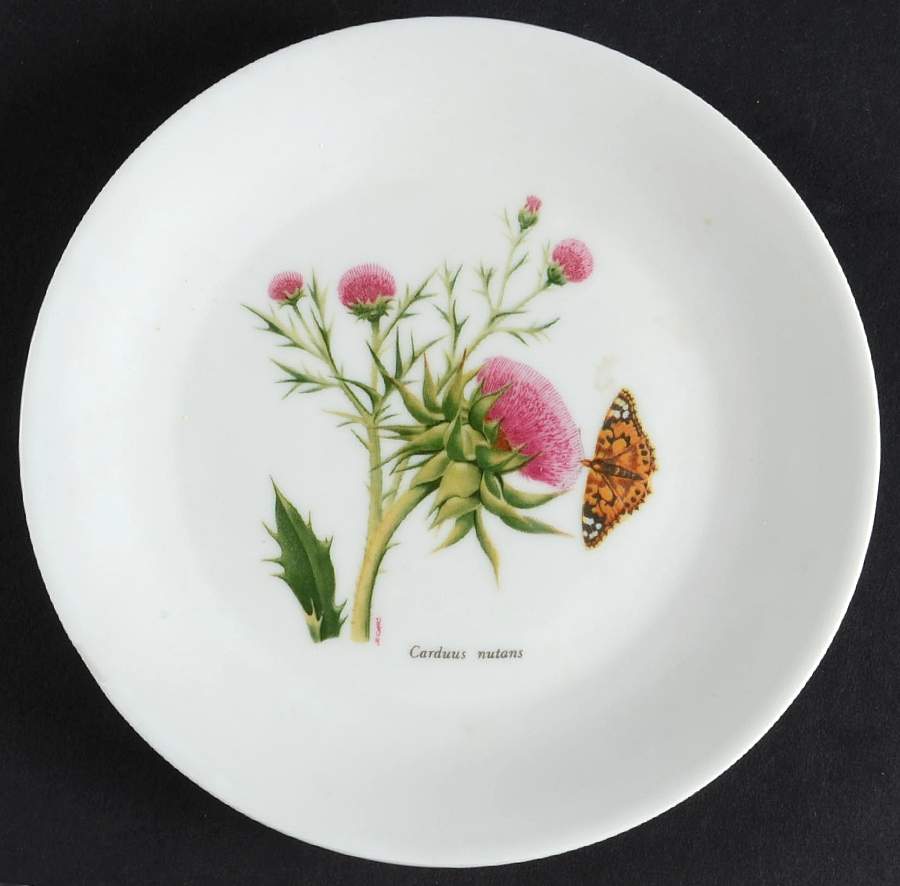 Vesca Canape Plate by Louis Lourioux-1