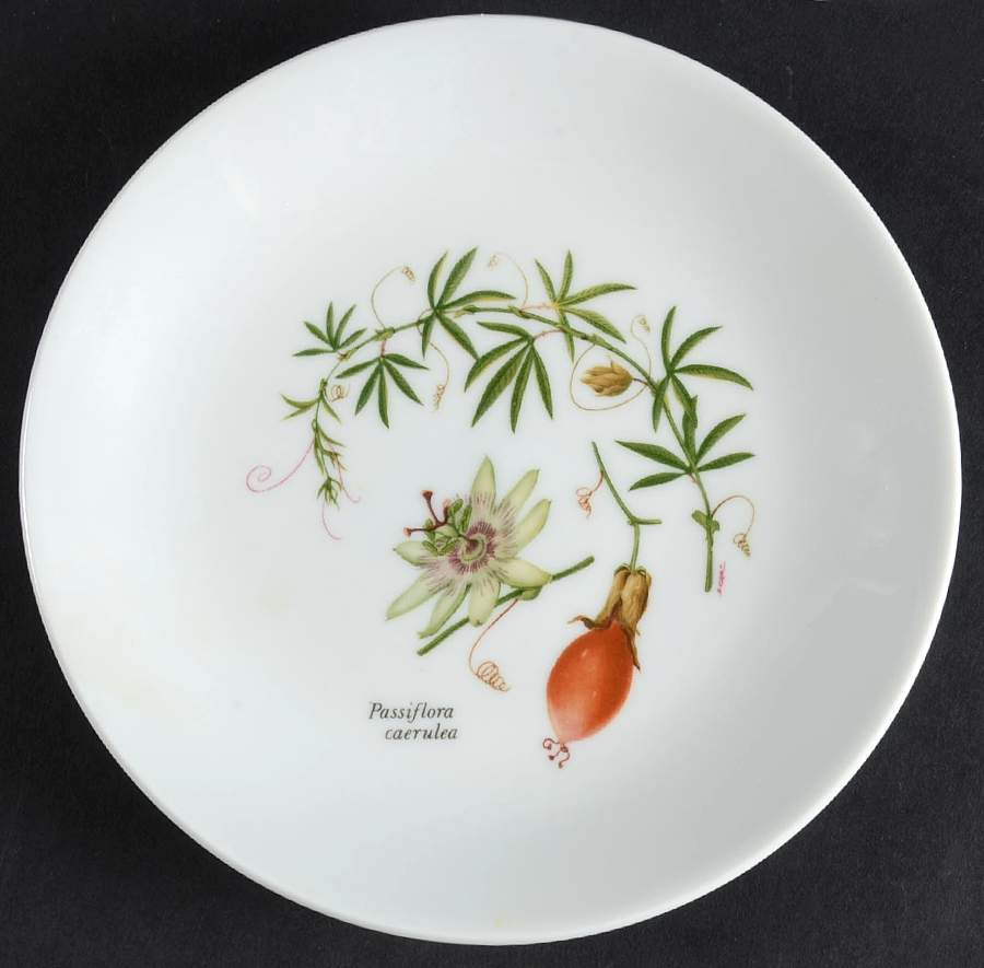 Vesca Canape Plate by Louis Lourioux-1