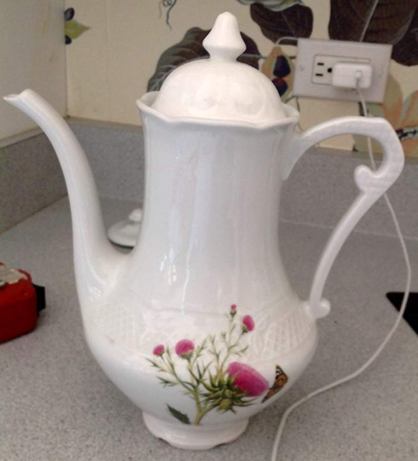 Vesca Coffee Pot & Lid by Louis Lourioux-1