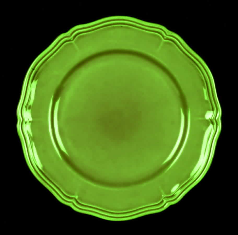 Argent Green Salad Plate by Longchamp-1