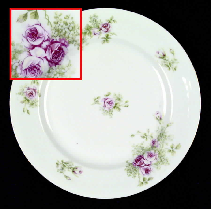 2428 Dinner Plate by Lazarus Straus & Sons-1