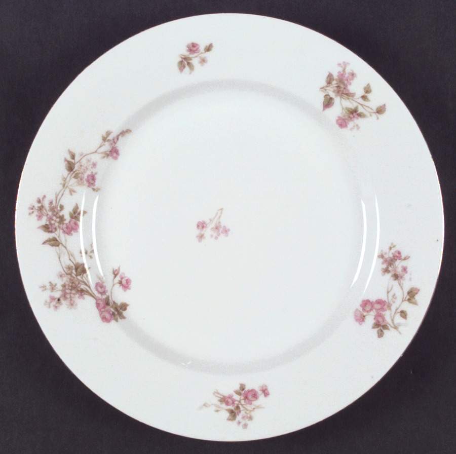 2432 Dinner Plate by Lazarus Straus & Sons-1