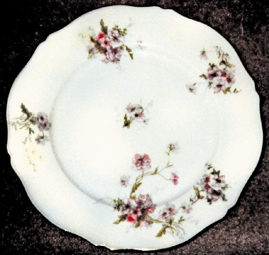 LSS17 Dinner Plate by Lazarus Straus & Sons-1