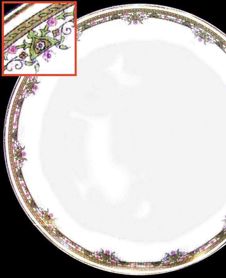 LSS19 Dinner Plate by Lazarus Straus & Sons-1