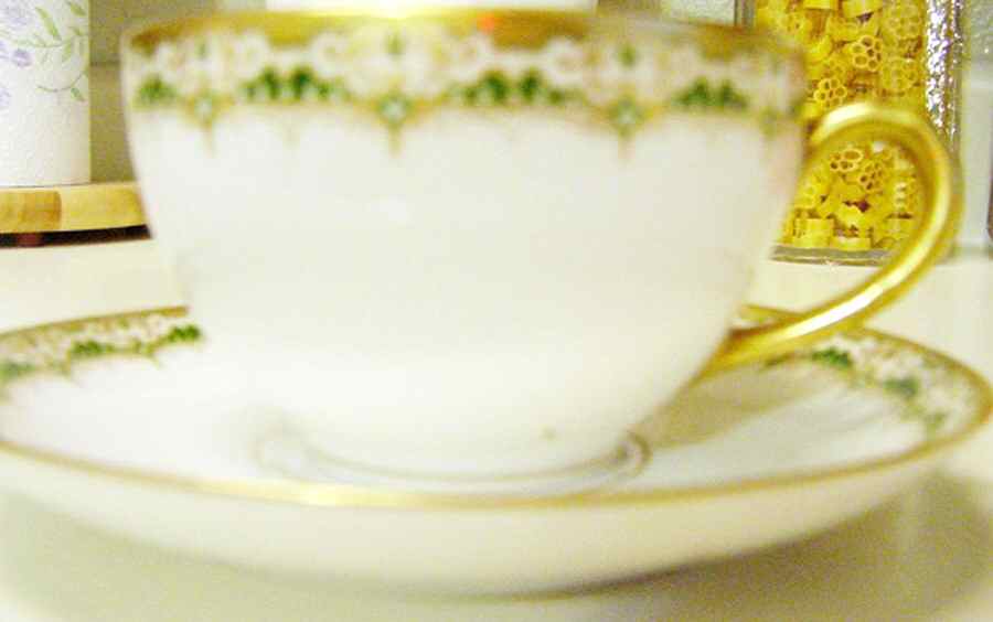 LSS8  Footed Cup & Saucer Set by Lazarus Straus & Sons-1