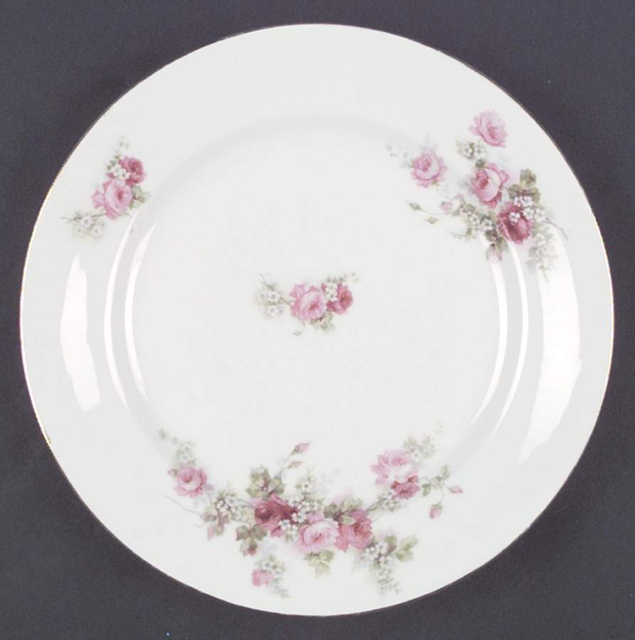 LSS28 Luncheon Plate by Lazarus Straus & Sons-1