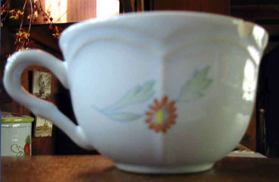 Perouges Flat Cup by Longchamp-1