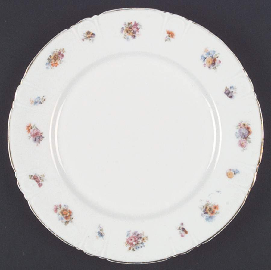 LSS30 Dinner Plate by Lazarus Straus & Sons-1