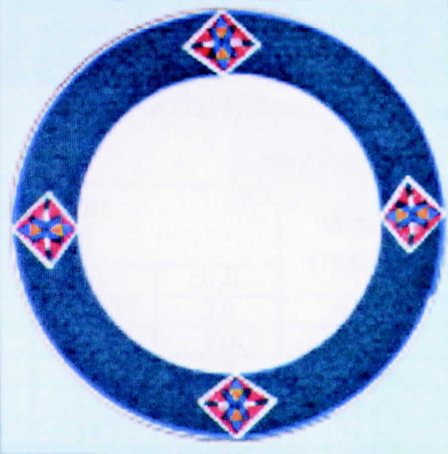 Avanel Dinner Plate by Lynn's China-1