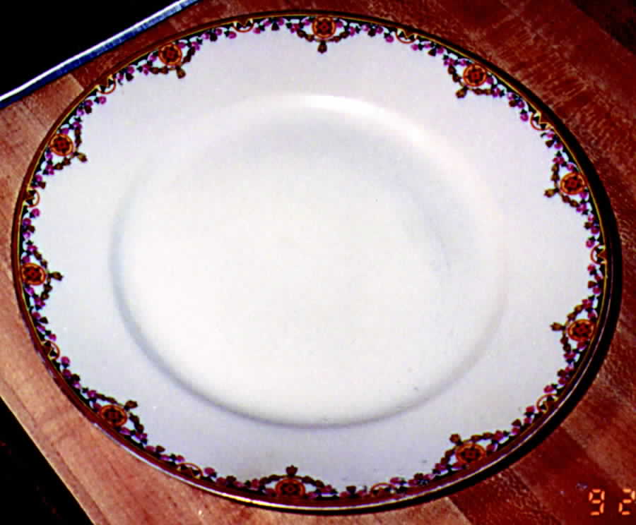 LEG16 Dinner Plate by F Legrand & Cie-1