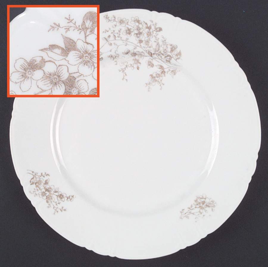 LSS32 Dinner Plate by Lazarus Straus & Sons-1