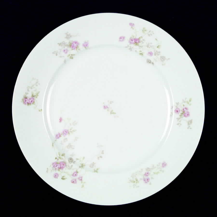LAT22 Dinner Plate by Latrille-1