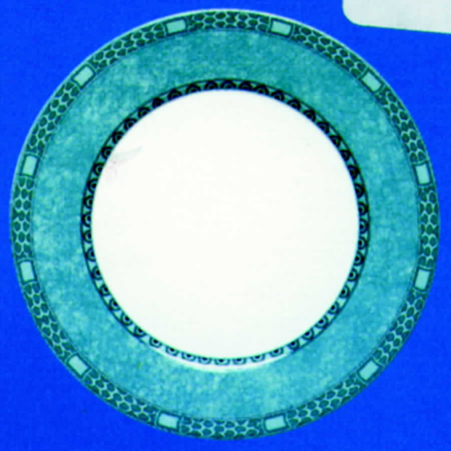 Beaucourt Dinner Plate by Laure Japy-1